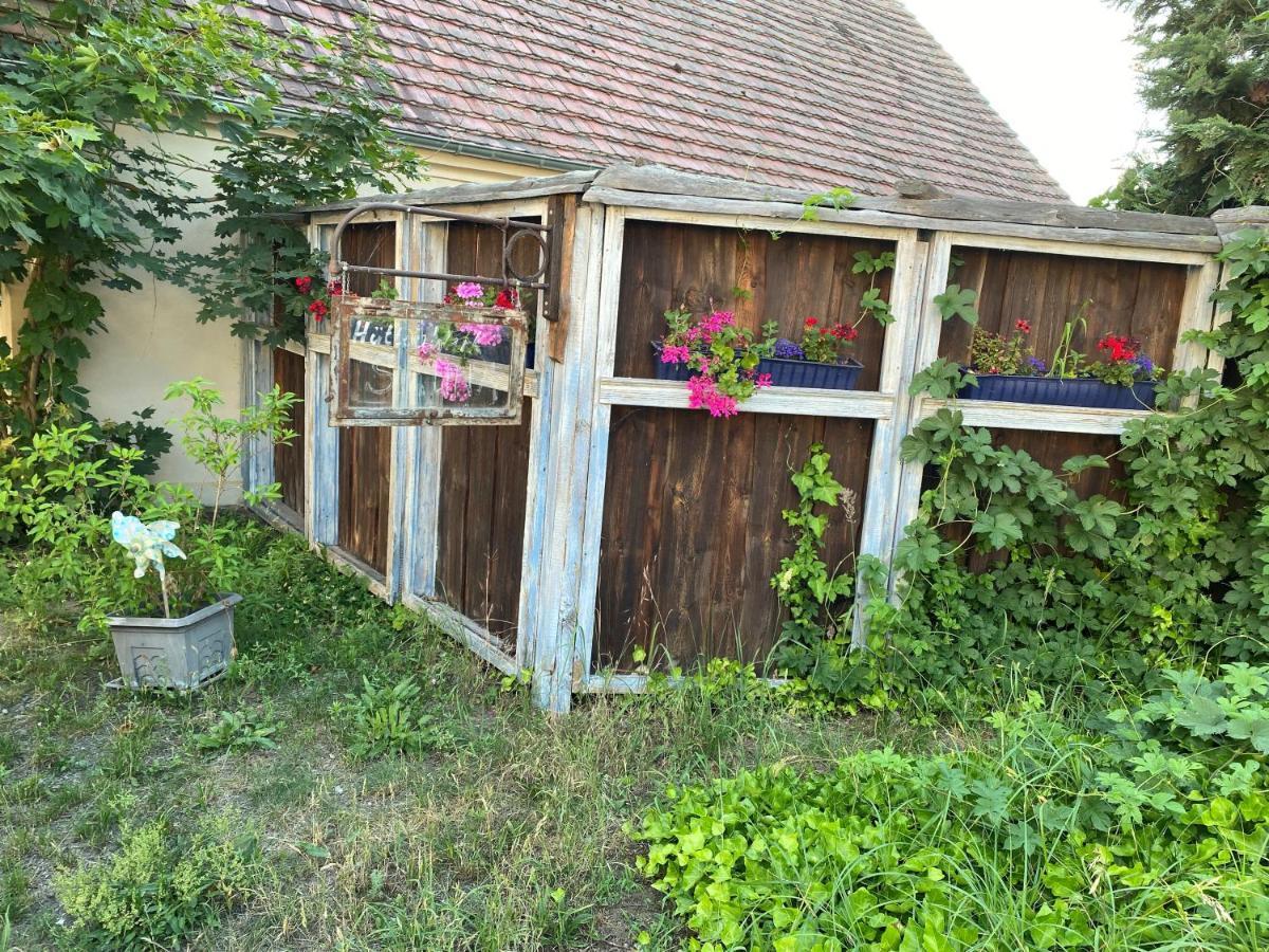 Ostsee Radlerpension Пайц Экстерьер фото
